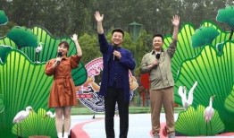 宁夏吴某爆料事件视频最新,揭秘背后惊人真相